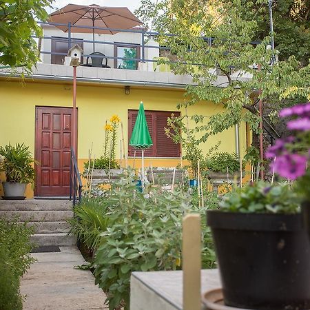 Apartment Pipo Rijeka Zewnętrze zdjęcie